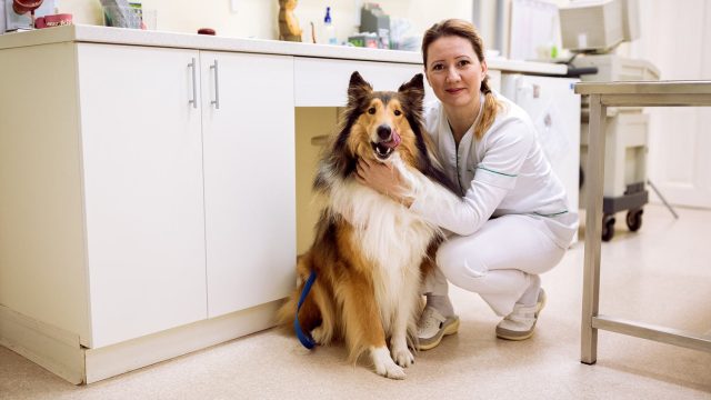 Pets and Pet Care
